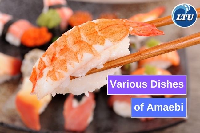 Amaebi's Application Through Japanese Cuisine